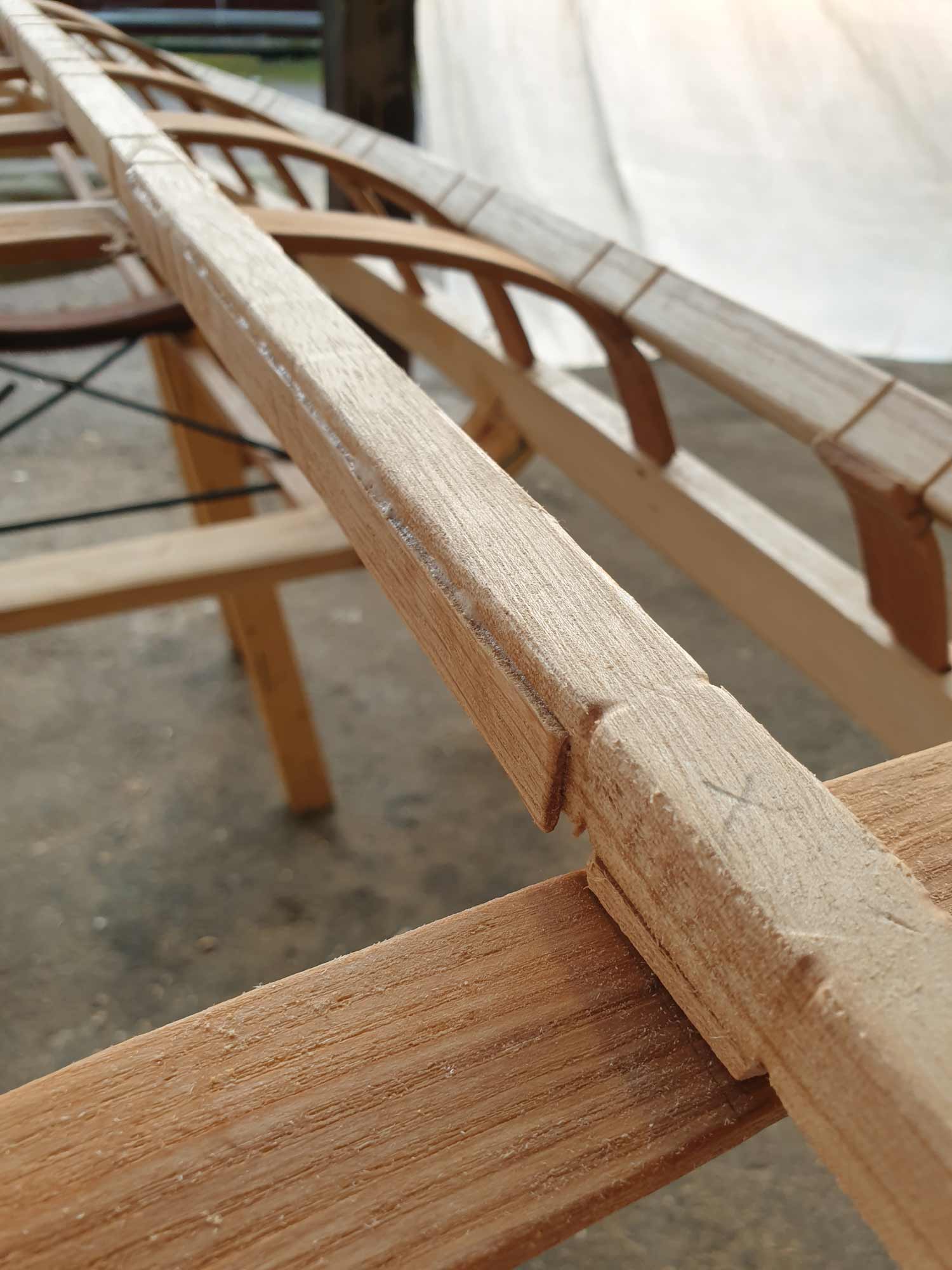 Lashings leave a mark in soft Paulownia wood