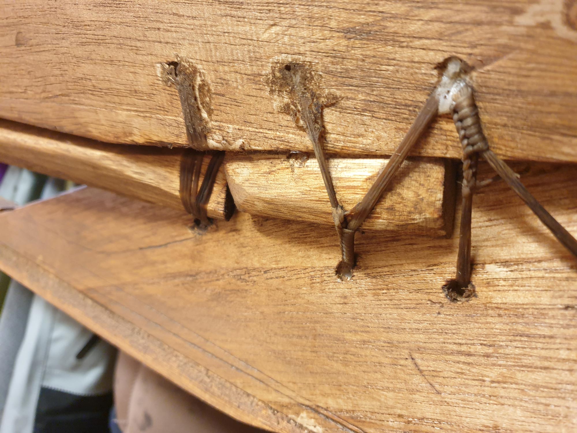 Mostly a joke but might stabilize the stem