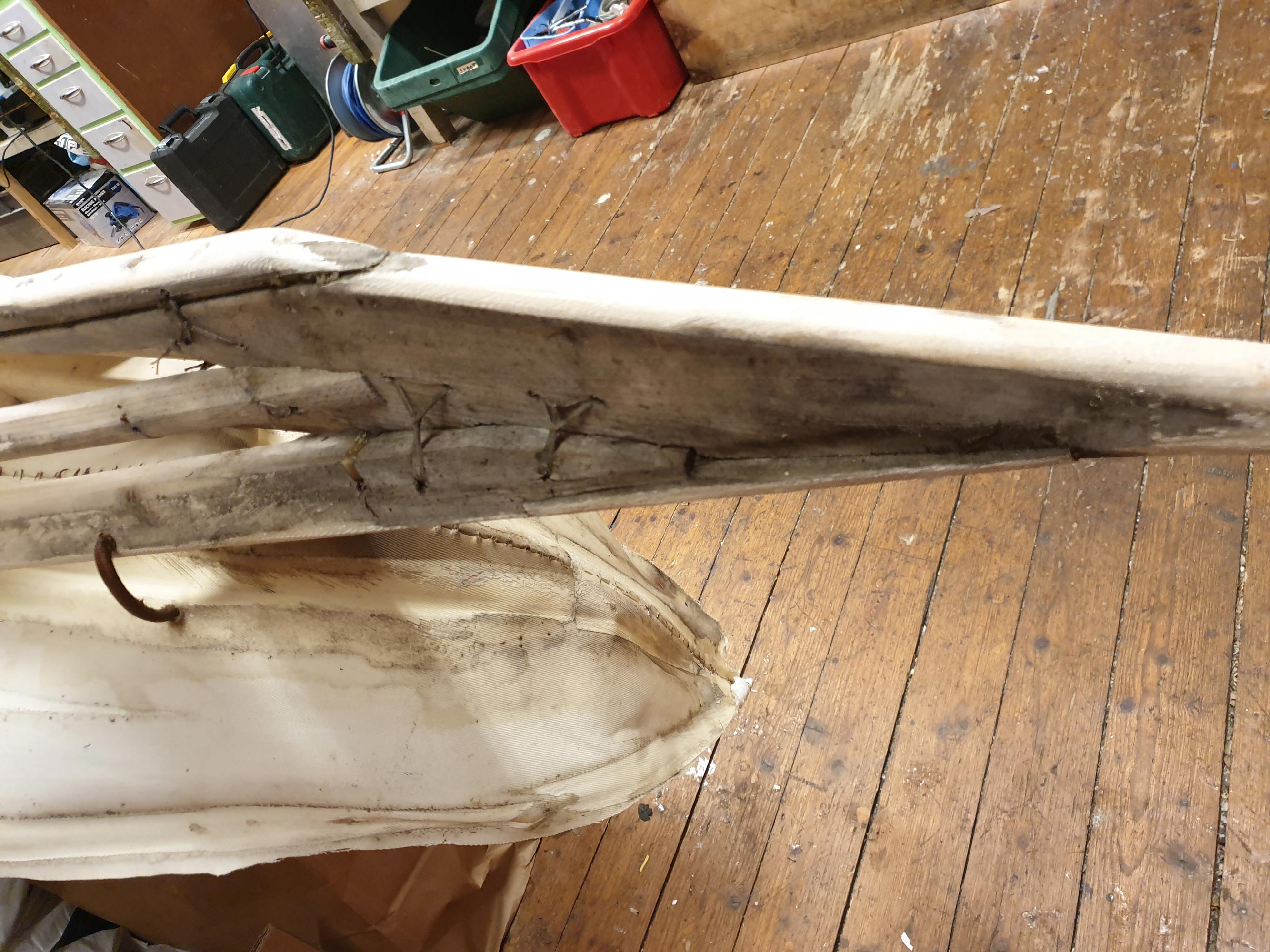 Mold in the nose