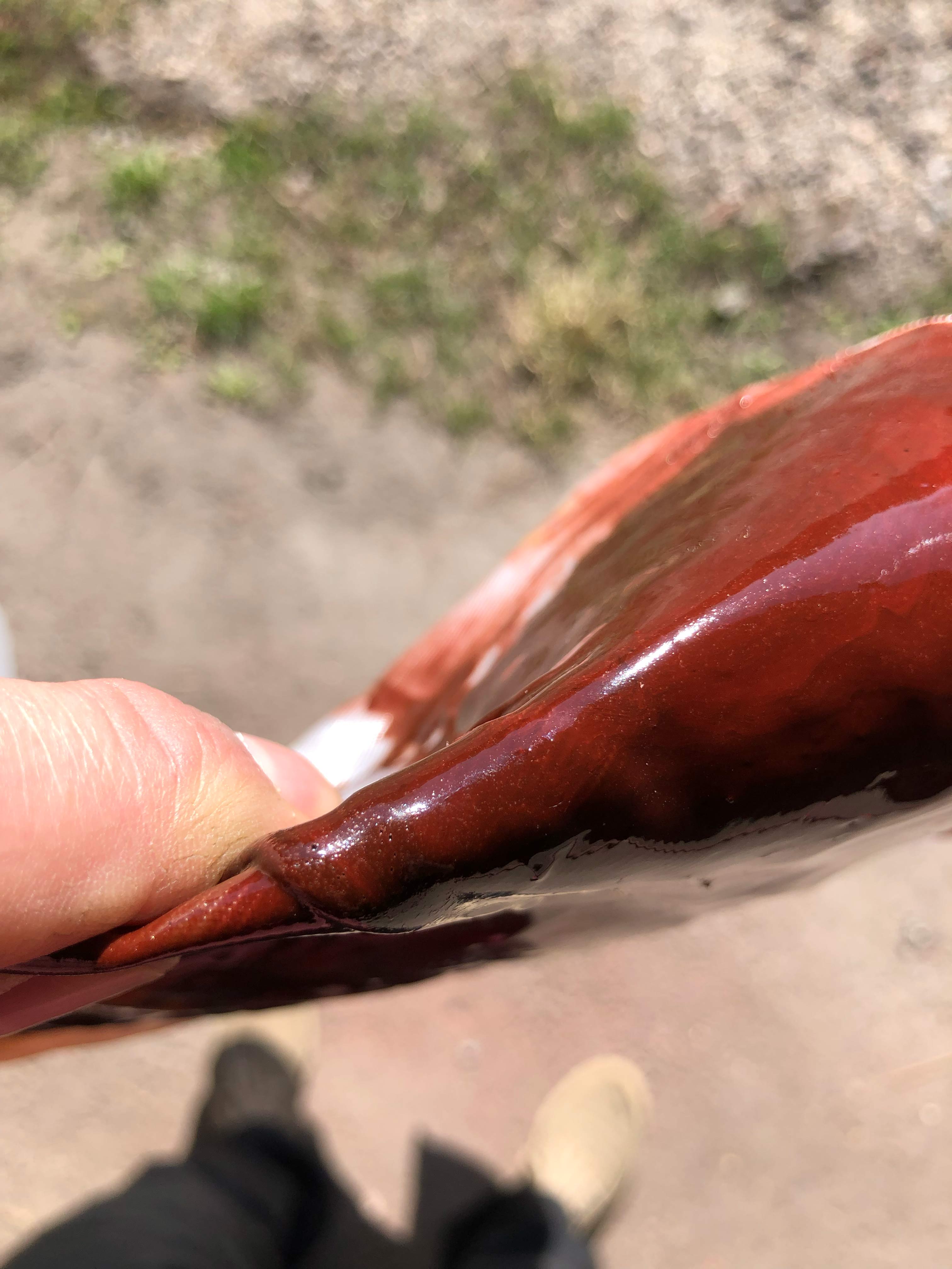 Seems flexible enough anyway
