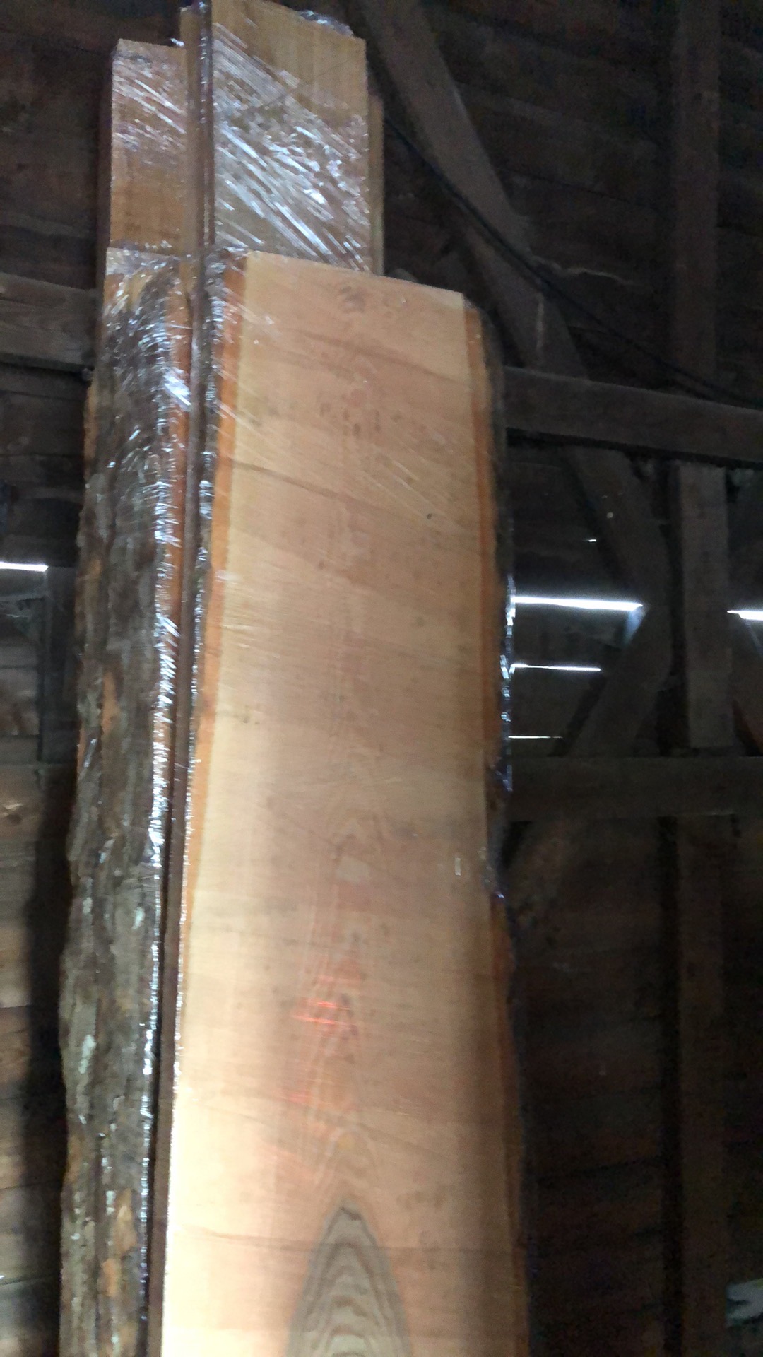 Fresh white oak and Ash wrapped for temporary storage
