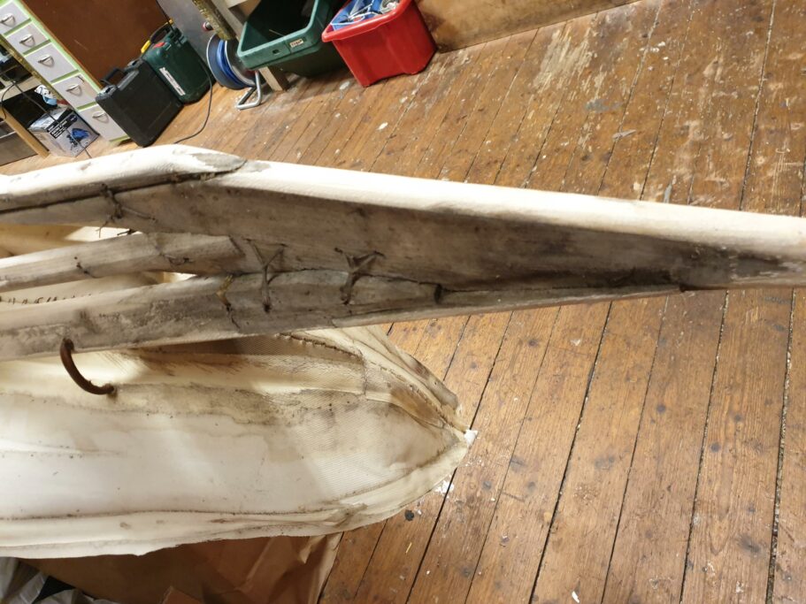 Mold in the nose